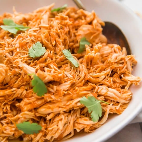 Pollo Mechado | Shredded Chicken | 2 servings